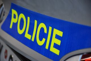 Kriminalisté uzavřeli případ uhynulého psa v autě před zoo v Hluboké nad Vltavou