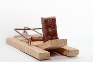 Česká politika: Radikální obrat o 360 stupňů - Médium.cz