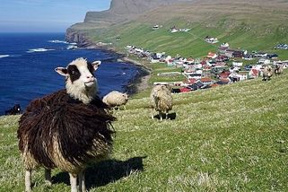 Bez překvapení! Fotbalová velmoc Faerských ostrovů potvrdila roli favorita - Médium.cz
