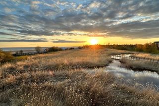 Estonsko. Plochá krása severu - Médium.cz
