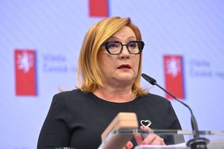 Vláda pověřila ředitele FAÚ, aby připravil návrh zákona na konfiskaci majetku