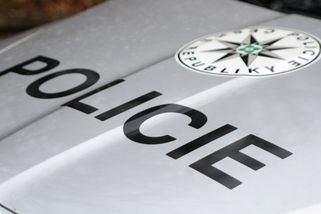 Pěstoun na Domažlicku zneužíval 14letou dívku, čekala s ním i dítě - Novinky