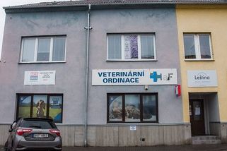 Tělo utraceného psa zůstalo pohozené venku. Případ řeší veterinární správa