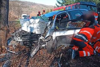 Nezvládnuté předjíždění stálo řidiče ze Zlínska život, narazil do stromu - Novinky