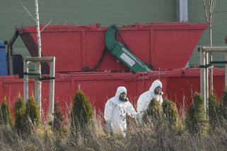 Kvůli utracení obřího chovu na Tachovsku zdraží vejce - Novinky