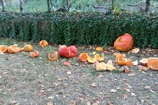 Farář na Břeclavsku rozkopal dětem dýně. Kvůli satanismu - Novinky