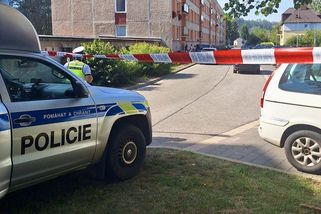 Muž nebyl příčetný. Policie odložila smrt dítěte žízní v bytě v Hostinném - Novinky