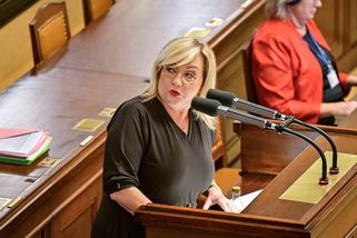 Parchant jeden, vyjela Schillerová na Fialu. Nové dno, reagoval premiér - Novinky