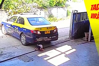 Matka málem zabila vlastní dítě. Couvala a holčička skončila pod koly | Tady virál