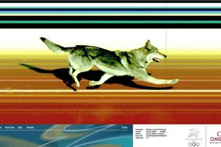 Olympiáda | Československý vetřelec na cílové fotce. Pes na trati vyděsil závodnice a rozhodil pořadatele - Sport.cz