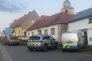 Pes plemene bully XL na Prachaticku roztrhal svého majitele - Novinky