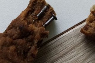 Za psí pamlsky s hřebíky dostal muž z Ostravy podmínku. Omluvil se a zaplatil veterináře - Novinky