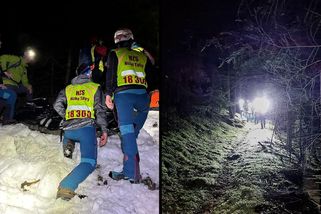 Útok medvěda na Slovensku: Obětí je 31letá Běloruska. Při úprku zřejmě spadla ze skály - Novinky