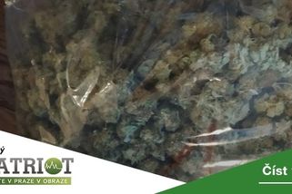 Trojice mužů prodávala marihuanu, každému hrozí až deset let vězení