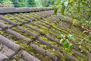 Mech na střeše vás může přijít na desítky tisíc korun při renovaci střechy. Přitom se ho zbavíte za hodinu práce