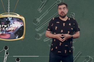 V šílené zoo pouštějí návštěvníky za bariéru krmit lvy, dobrý nápad to není | Darwinovy ceny