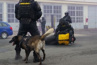 Vrah si prokopal otvor ve zdi věznice ve Slavkově. Měl nachystané i lano z oblečení - Novinky