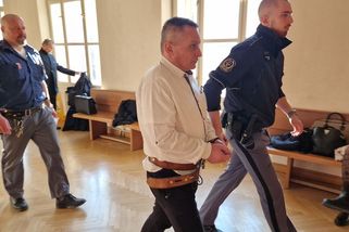 Dlouhodobé týrání partnerky eskalovalo dupáním na hlavu. Muž půjde do vězení na pět let - Novinky