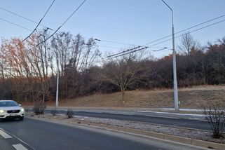 Budou létat třísky. V Brně vykácejí dřeviny ve svahu, kde letos začne stavba 330 bytů - Novinky