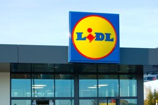 Lidl přichází se službou Lidl Pay: Co umí a jak funguje?