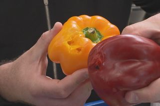 Reportér vyrazil na kontrolu potravin v přestrojení. Narazil opět na shnilé ovoce