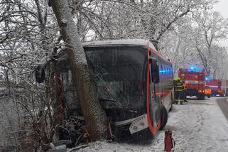 V Plzni naboural autobus do stromu - Novinky