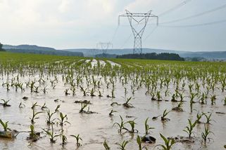 Kabinet mění opatření proti erozi půdy