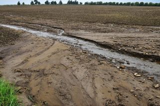 Kontrola eroze půdy v Čechách musí být důslednější než v zemích, kde hospodaří na svém, tvrdí Jan Štefl za soukromé zemědělce