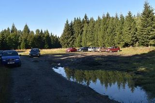 Houbaři jsou jako smyslů zbavení, majitelé lesů zuří. Korunu tomu nasadila vláda