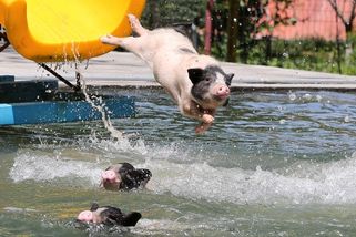 Editorský výběr: Nejlepší fotografie uplynulého týdne - Seznam Zprávy