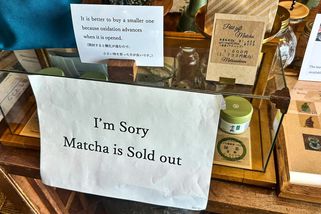 Nejen pistácie. Globální nedostatek další gurmánské pochoutky je za rohem, viníkem jsou opět sociální sítě - Novinky