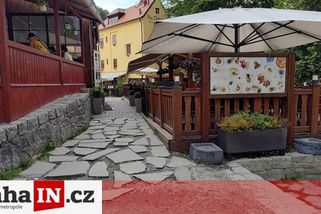 prahain.cz/jidlo/host-vynadal-cisnikovi-rozbuskou-byl-utopenec-za-199-korun-13920.html