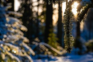 Holčička z vánoční reklamy na Kofolu vyrostla v krásnou dámu. Sandra přiznala, že miluje ženy - Médium.cz