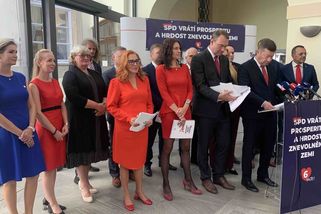 SPD řeklo, jaké resorty chce po volbách obsadit - Novinky