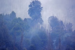 Kdo může za oheň v Českém Švýcarsku? Správa viní lidi, sama čelí kritice - Seznam Zprávy
