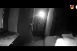 Policie: Muž na nádraží v Hradci zavraždil 14letého chlapce kuchyňským nožem - Novinky