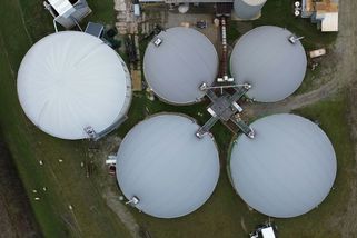 Komentář: Jak se vyhnout padesáti korunám za naftu? Řešení roste přímo za vašimi humny