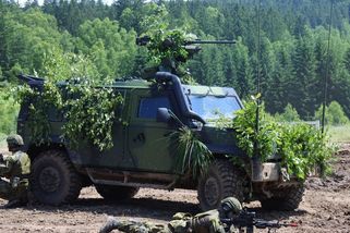Vojáci předvedli pandury, tank Leopard 2A4 i samohybné houfnice. Bahna nadchla přes padesát tisíc lidí - Novinky