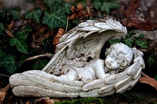 Jeptišky pohřbily do septiku v irském Tuamu na 796 dětí. Exhumace a DNA analýza potrvá dva roky - Médium.cz