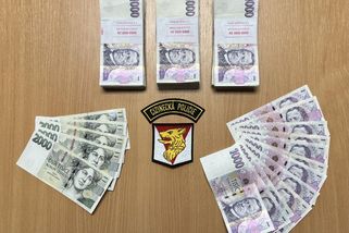 Policisté na Vysočině řeší dalších pět případů zneužívání humanitárních dávek Ukrajinci