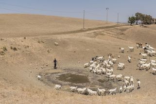 Fotky: Sucho vyvolává hněv, vláda vyhlásila na Sicílii stav katastrofy - Seznam Zprávy