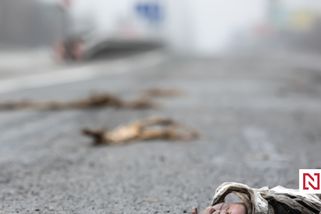 Zabít, nebo převychovat. Ideolog v ruské státní agentuře načrtl plán na úplnou likvidaci Ukrajiny