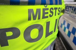 Seniorku v Hradci Králové přistihli při krádeži základních potravin. Nákup jí zaplatil jeden ze strážníků