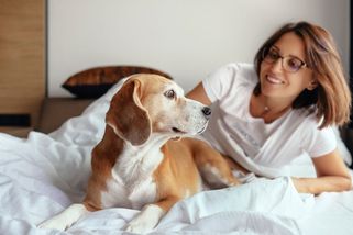Patří pes do postele? Je lepší než plyšák. Ale musí vědět, kdo je doma pánem, a nesmí rušit intimní život - Proženy.cz