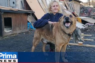 Lidi mají radši zvířata než bezdomovce, říká žena žijící v garáži. A děkuje za granule
