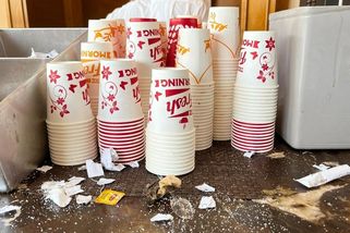 Horor na dovolené v Egyptě. Místo all-inclusive nedopečená kuřata a pokálené záchody