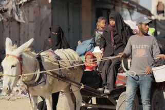 Na potraviny pro Gazu pošle Česko další čtyři miliony korun - Seznam Zprávy