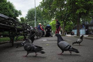 Útěk vězně s tetováním na krku skončil v pražském „Sherwoodu“ - Novinky