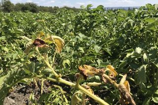 Úzkost, kterou ve městě neznají. „Vrty vysají vodu, ale co bude za dvacet let?“ - Seznam Zprávy