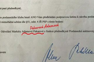 Pokus odvolat Pekarovou Adamovou může skončit odvoláním Havlíčka - Novinky